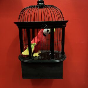 Feed the Bird
